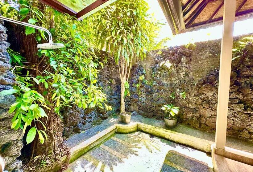 Villa 2 Camere da Letto, Dupa Ubud Villa