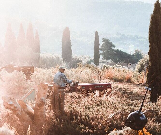 سوییت جونیور لوکس, Finca Ca N Ai  Adults Only