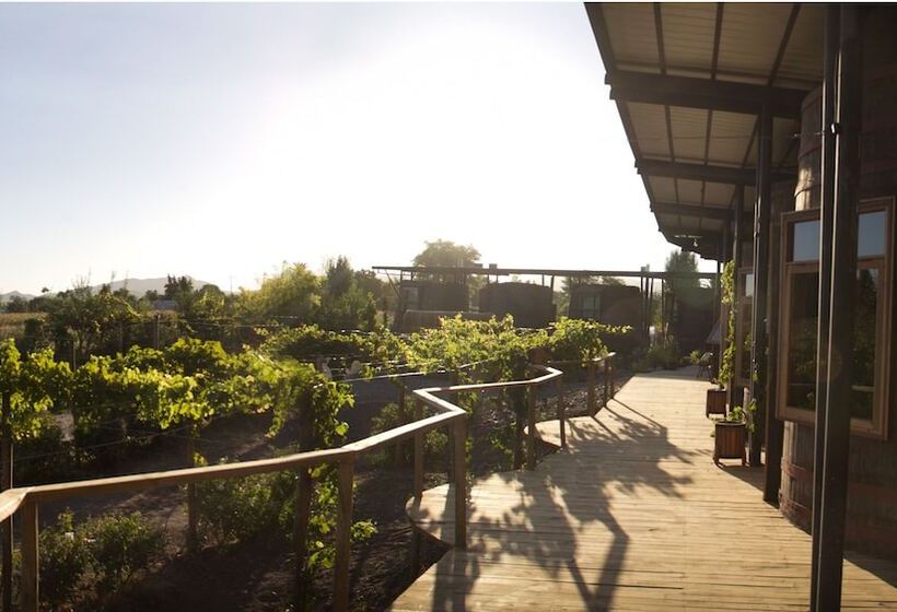 اتاق سوپریور, Cava Colchagua Hotel Boutique