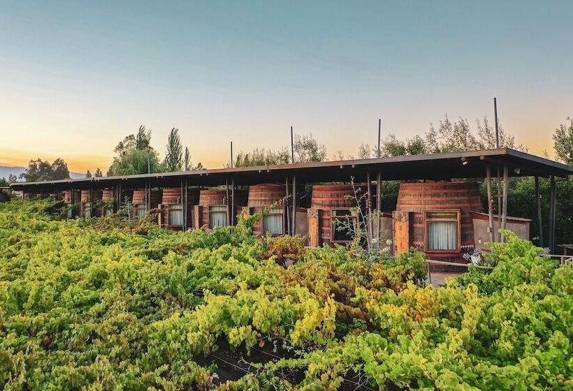 اتاق پرمیوم, Cava Colchagua Hotel Boutique