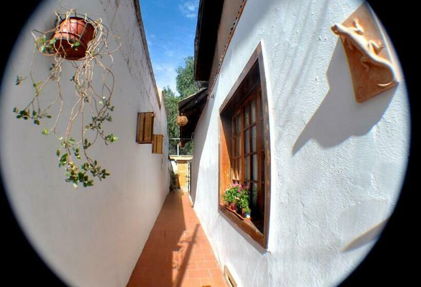 Standardeinzelzimmer, Boutique Molzano