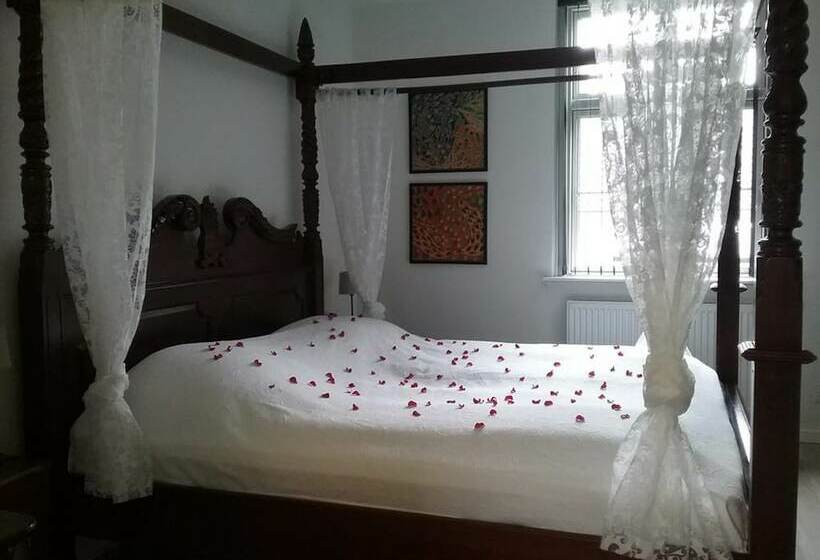 スタンダードルーム, Hals