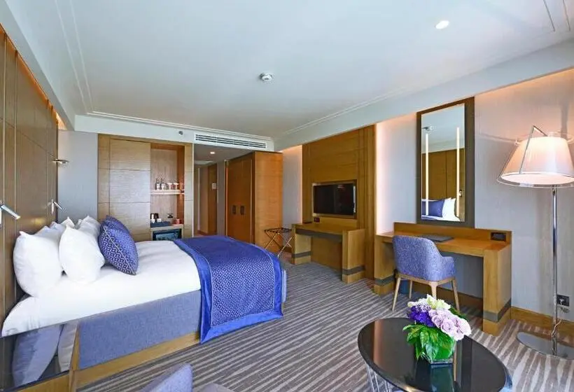 Superior Room King Size Bed