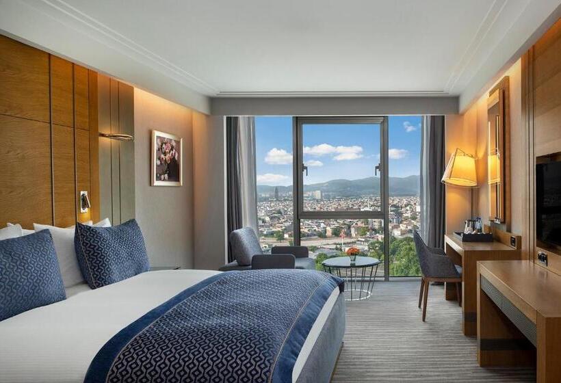 اتاق سوپریور با تخت بزرگ, Mövenpick Hotel & Thermal Spa Bursa