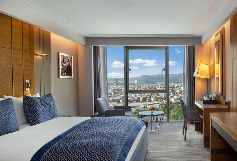 اتاق سوپریور با تخت بزرگ, Mövenpick Hotel & Thermal Spa Bursa