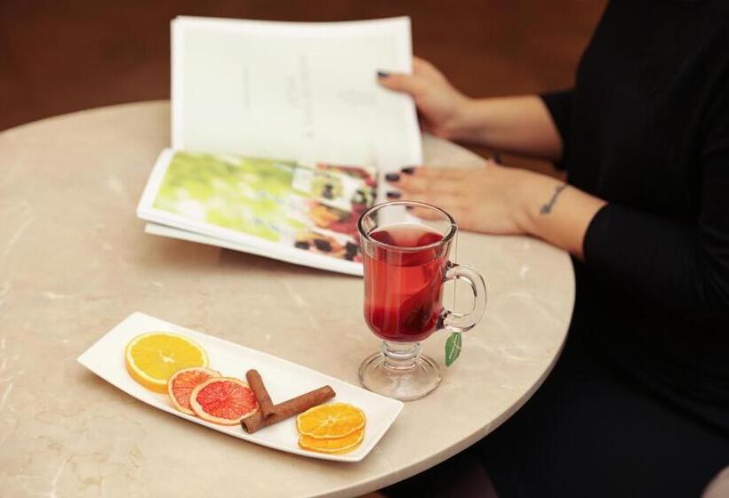 اتاق استاندارد, Mövenpick Hotel & Thermal Spa Bursa