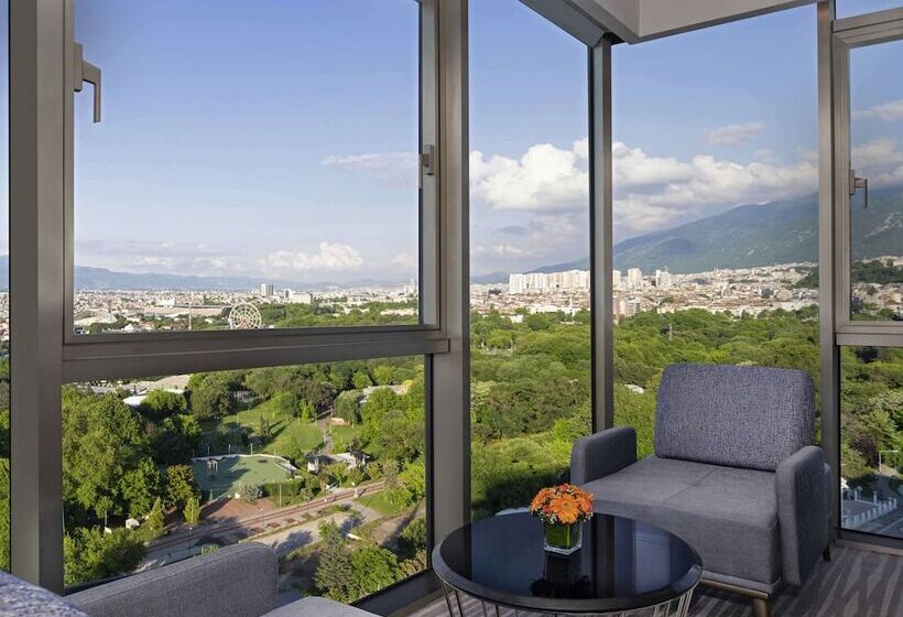 اتاق پرمیوم, Mövenpick Hotel & Thermal Spa Bursa