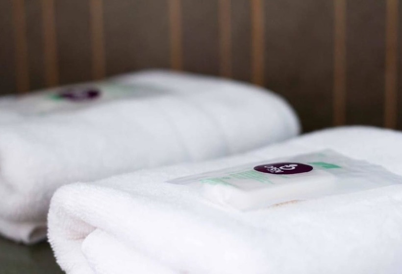 スタンダードルーム, Open