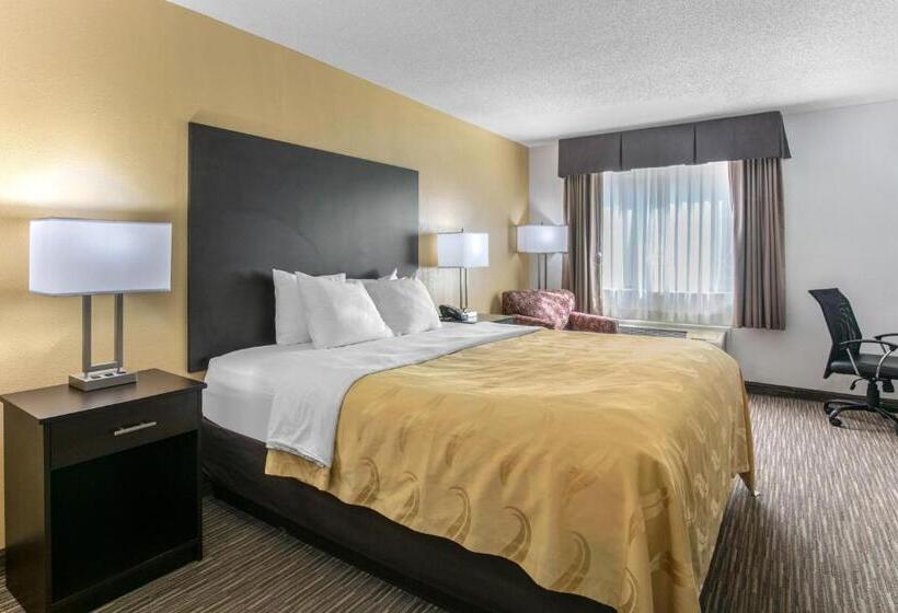 חדר סטנדרט עם מיטת קינג, Quality Inn & Suites Metropolis I24