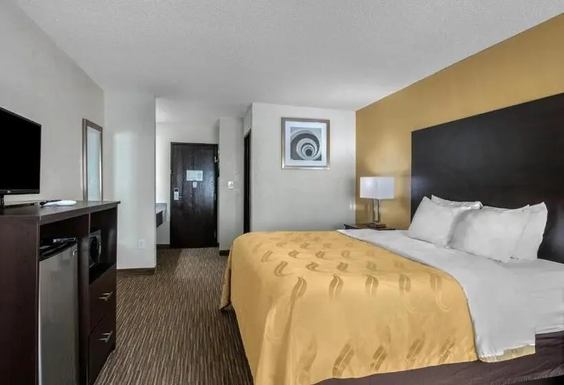 Standard-huone King-vuode, Quality Inn & Suites Metropolis I24