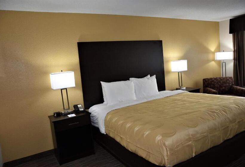 חדר סטנדרט עם מיטת קינג, Quality Inn & Suites Metropolis I24