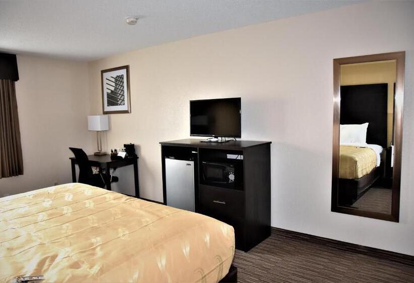 חדר סטנדרט עם מיטת קינג, Quality Inn & Suites Metropolis I24