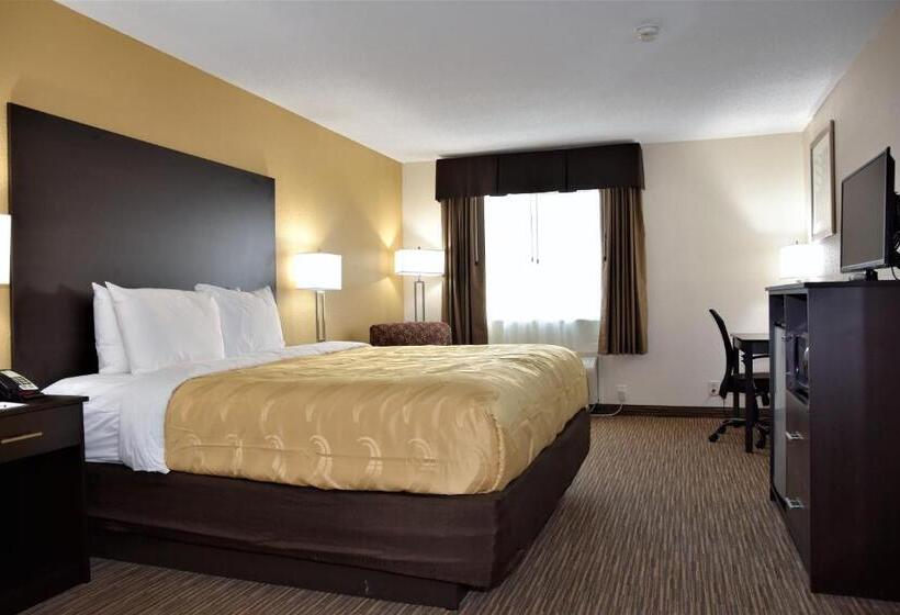 Стандартный Номер Кровать Кинг, Quality Inn & Suites Metropolis I24