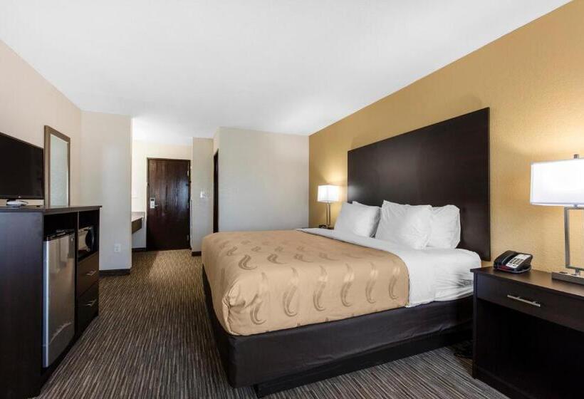 מיטת קינג בסוויטה, Quality Inn & Suites Metropolis I24