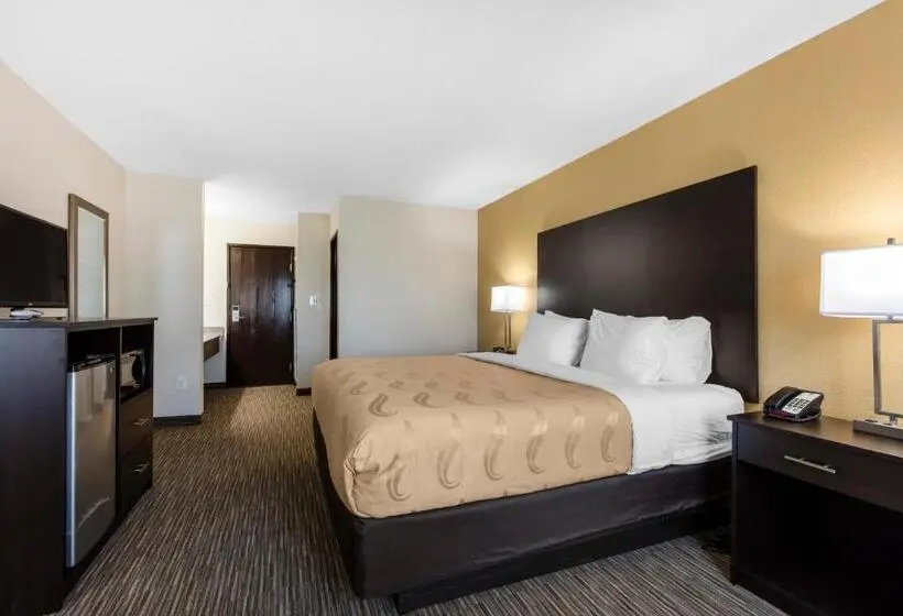 Sviitti King-vuode, Quality Inn & Suites Metropolis I24