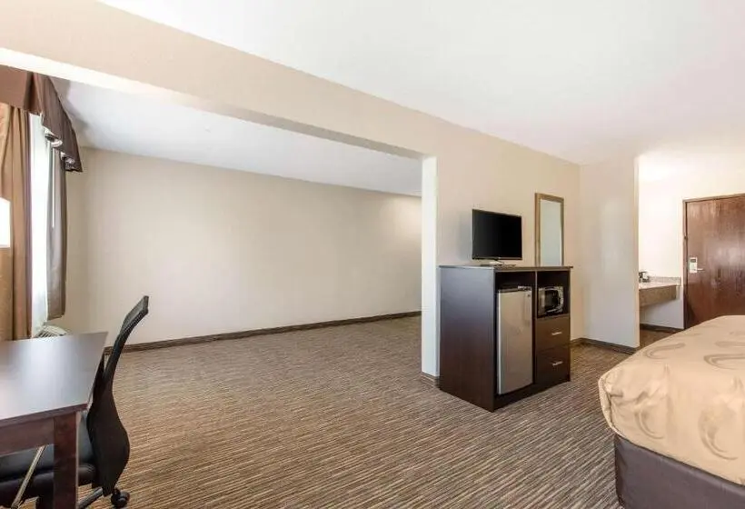 Sviitti King-vuode, Quality Inn & Suites Metropolis I24
