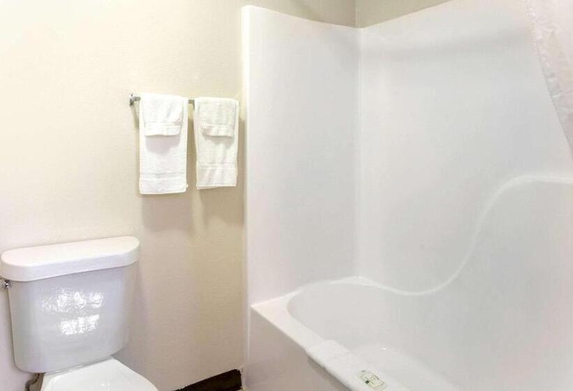 סוויטת סופריור, Quality Inn & Suites Metropolis I24