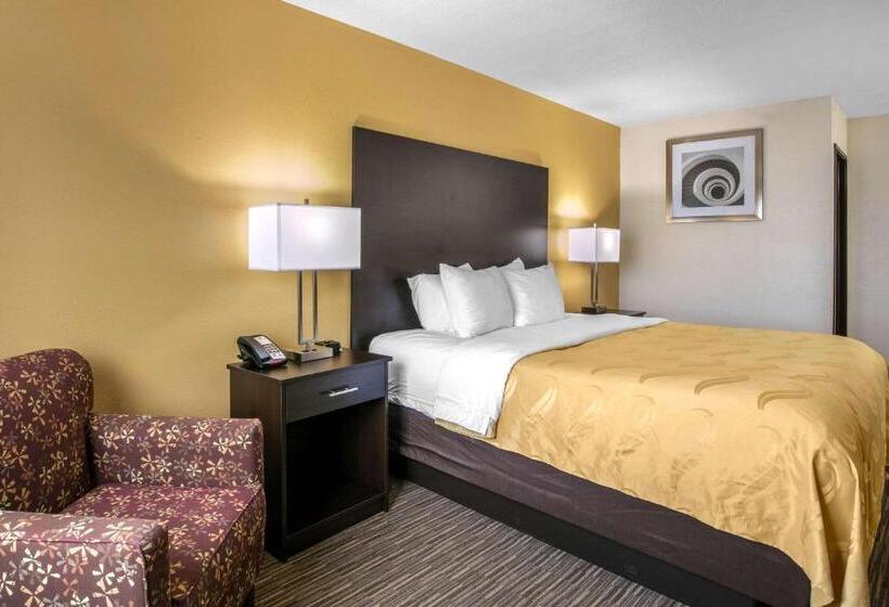Люкс Superior, Quality Inn & Suites Metropolis I24