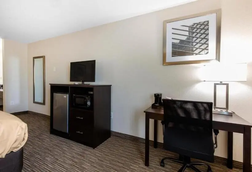 Standard-invahuone King-vuode, Quality Inn & Suites Metropolis I24