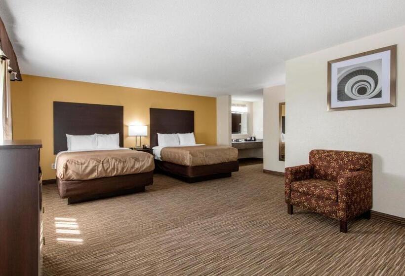 חדר סטנדרט מותאם לאדם עם מוגבלויות, Quality Inn & Suites Metropolis I24