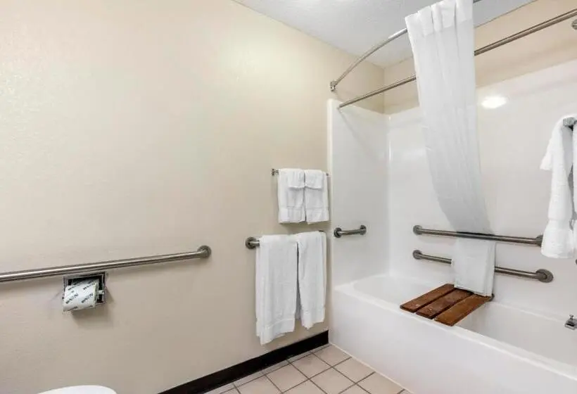 Standard-invahuone, Quality Inn & Suites Metropolis I24