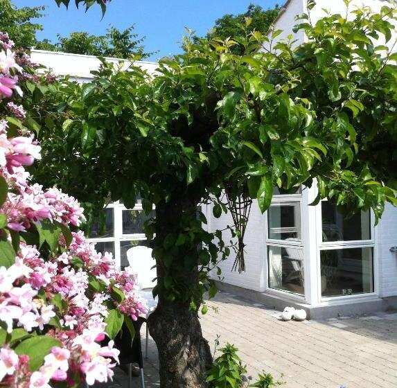 חדר משפחתי, Kathrines Bed & Breakfast