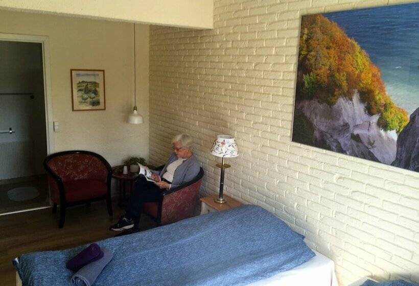 חדר סטנדרט, Klintholm B & B Bistro