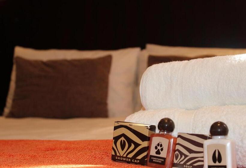 스탠다드 룸, Big Five Guest House