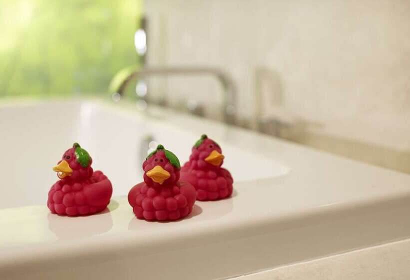 סוויטה מותאמת לאדם עם מוגבלויות, Archer Hotel Napa