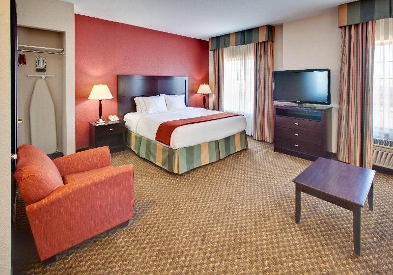 غرفة قياسية, NH San Luis Potosi