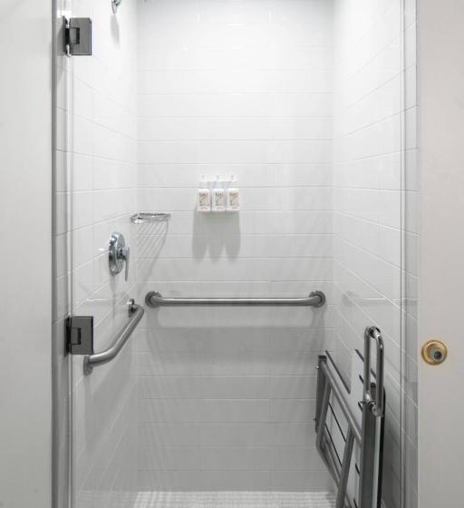 غرفة قياسية سرير كينج لذوى الإحتياجات الخاصة, Fenway Hotel, Autograph Collection