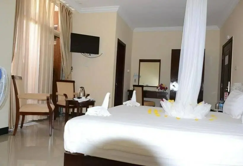اتاق استاندارد یک نفره, Asinuara