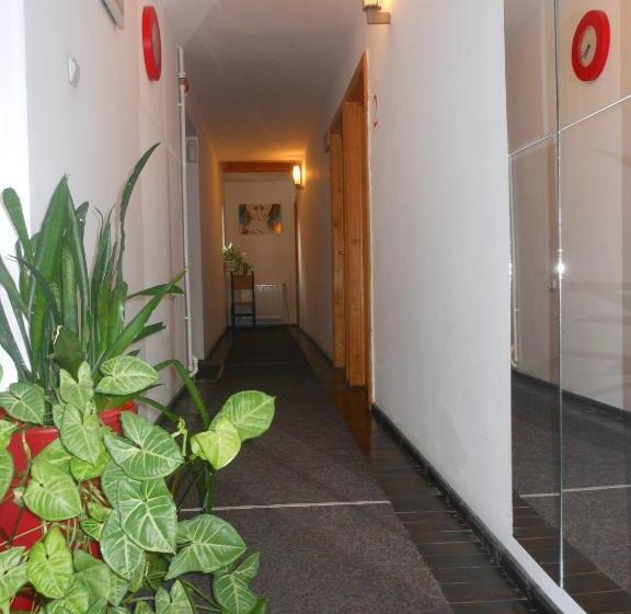 スタンダードルーム, Bistro Pension La Teleferic