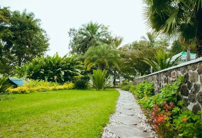 اتاق لوکس, Gorillas Lake Kivu
