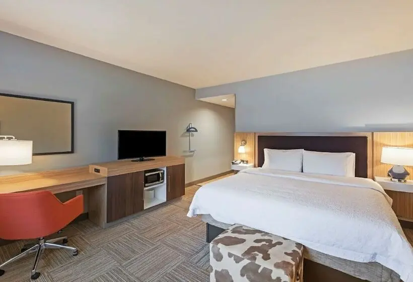 ダブルベッドスタンダードルーム, Hampton Inn Bulverde Texas Hill Country