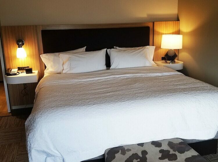 标准间带双人床, Hampton Inn Bulverde Texas Hill Country