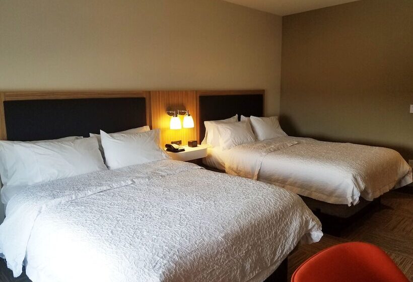 带2个双人床的标准工作室, Hampton Inn Bulverde Texas Hill Country