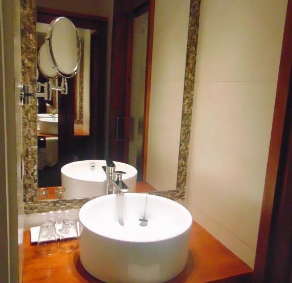 スタンダードルーム, Martina De Goñi