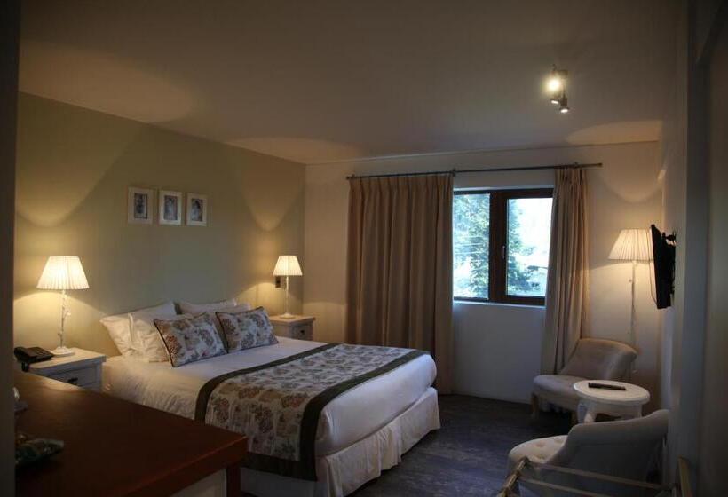 スタンダードルーム, Martina De Goñi