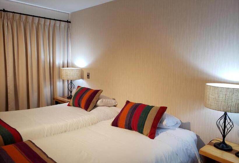 スタンダードルーム, Martina De Goñi