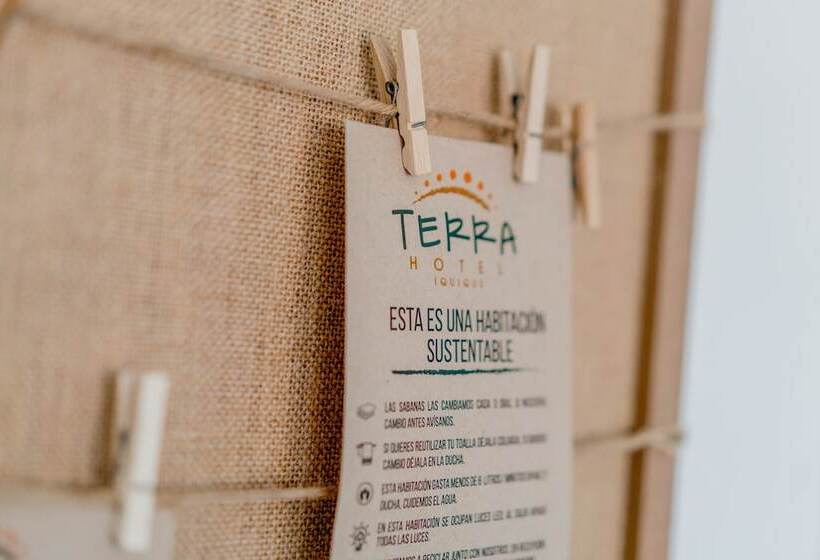 スタンダードルーム, Terra