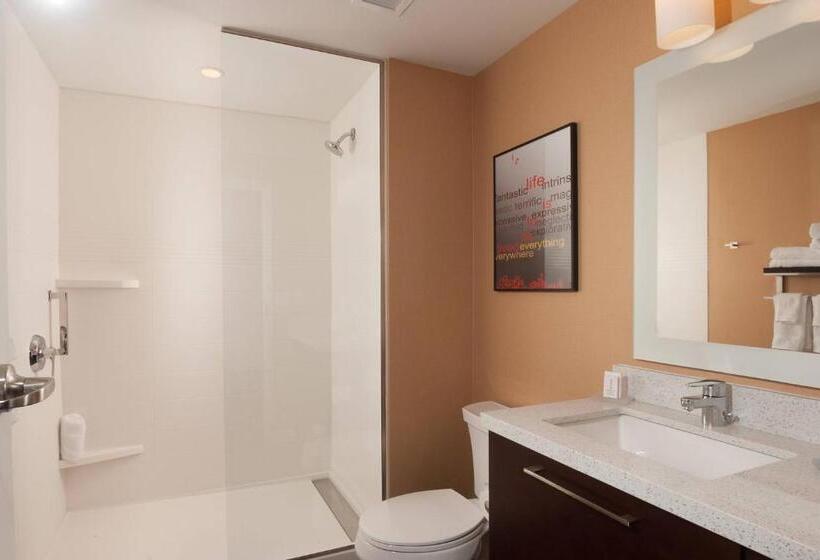 带大床的标准工作室, Towneplace Suites By Marriott Charleston Airport/convention Center