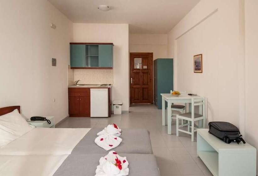 إستديو قياسى مطل على حمام السباحة, Orion Star