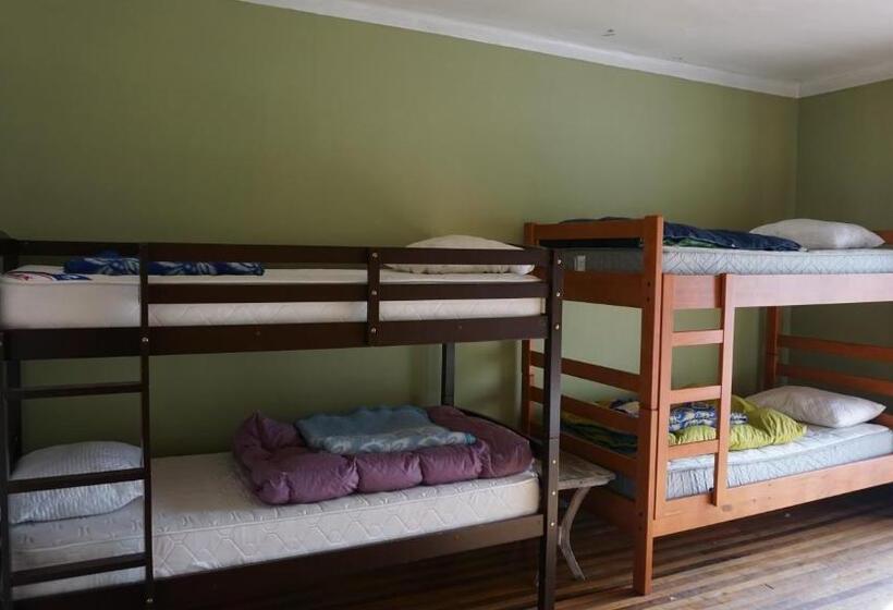 تختخواب در اتاق مشترک, Ventana Sur Hostal