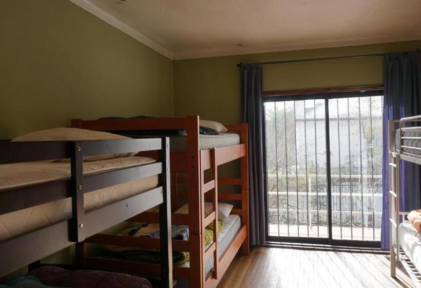 تختخواب در اتاق مشترک, Ventana Sur Hostal