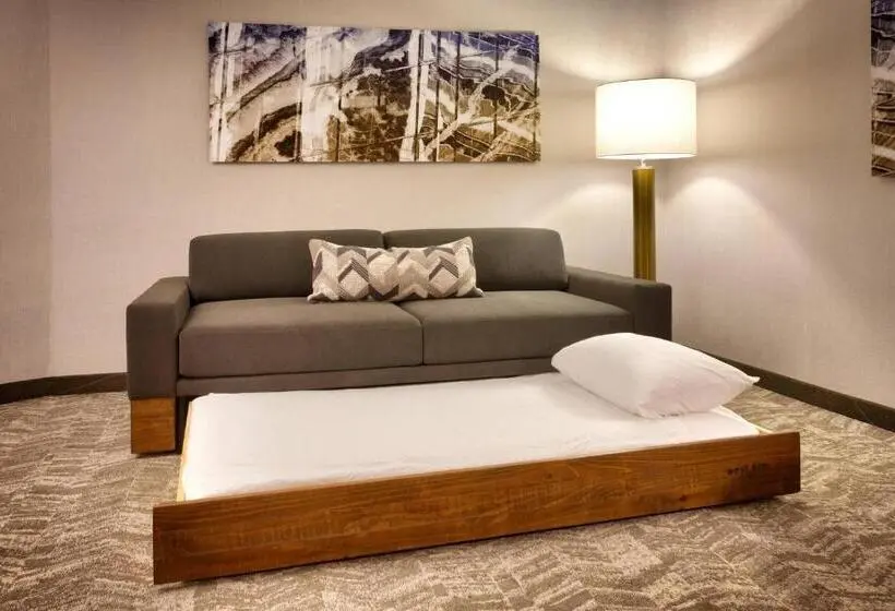 Deluxe-studio, Springhill Suites By Marriott Coralville