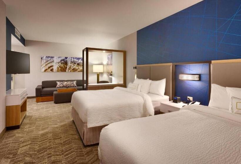 إستوديو ديلوكس, Springhill Suites By Marriott Coralville