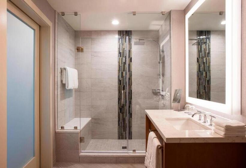 带大床的标准间, The Westin Chattanooga