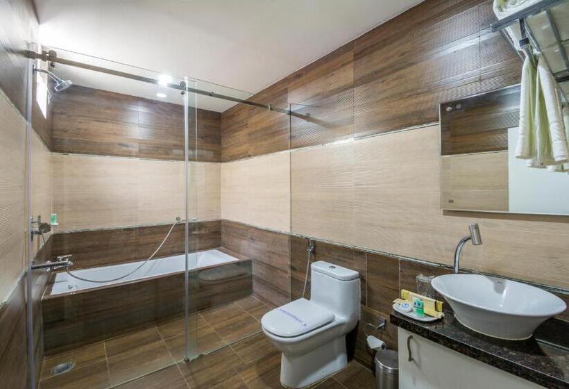 اتاق استاندارد, V Royal Park