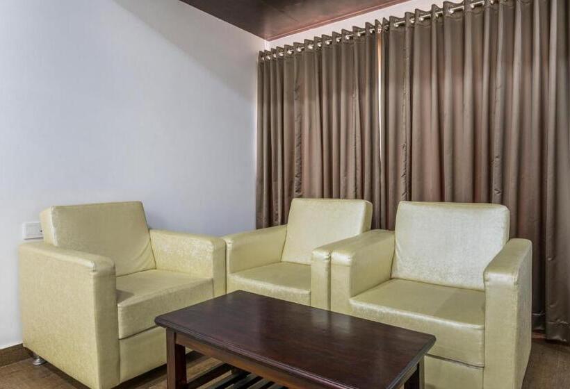 اتاق استاندارد, V Royal Park